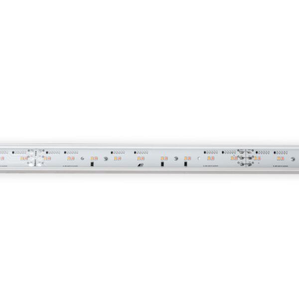 LINEAR-LED-BAR-35-MEAT