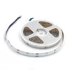 LED COB STRIP 504L 12W 10mm RGBW IP20 24VDC 02