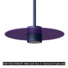 DISK R320 PENDANT CM11 CT01