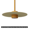 DISK R320 PENDANT CW02 CW01