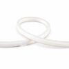 Triton 01WB